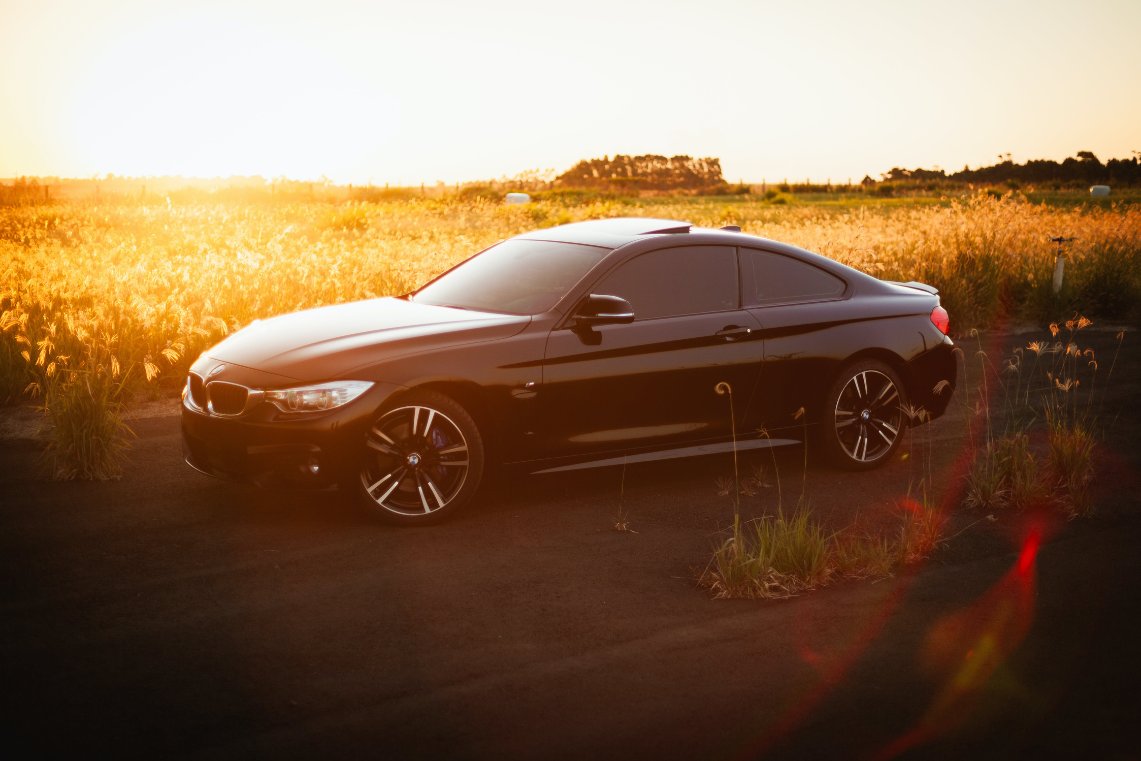 A black bmw car parked in a field at sunset